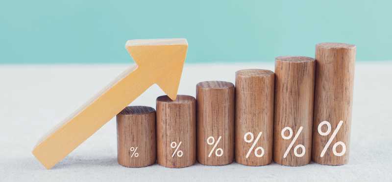Small wooden cylinders with a percent sign marked on them grow in height with an arrow pointed upward.