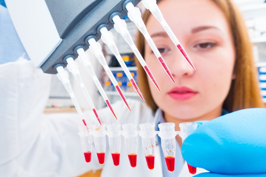 A biotech lab technician using multiple pipettes to load blood samples into test tubes.