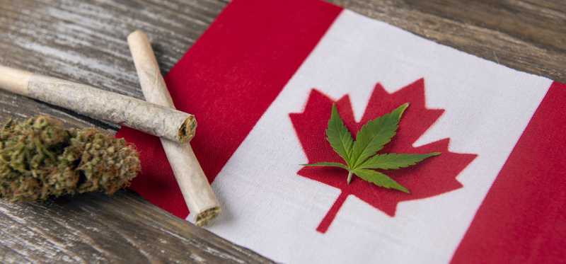 A cannabis leaf laid within the outline of the Canadian flag's red maple leaf, with rolled joints and a cannabis bud next to the flag.