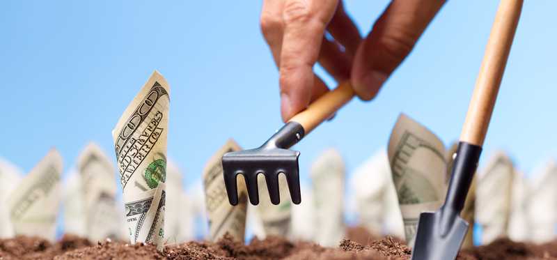 A person planting cash bills into the soil, representing investments growing over time.