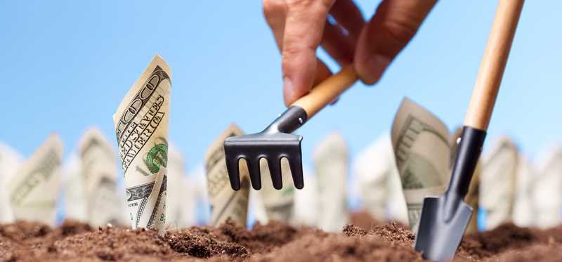 A person planting cash bills into the soil, representing investments growing over time.
