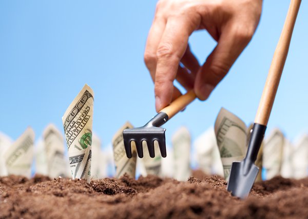 A person planting cash bills into the soil, representing investments growing over time.