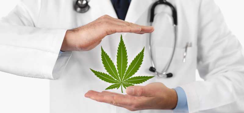 A physician with a stethoscope around his neck holding a cannabis leaf between his hands.