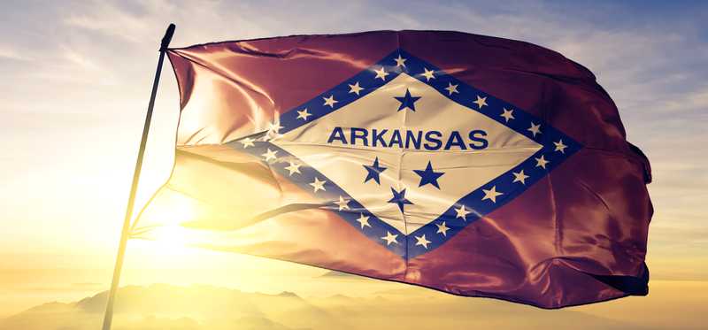 Arkansas' state flag.