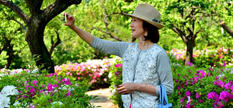 Person taking selfie among azaleas in bloom in Mobile, Alabama.