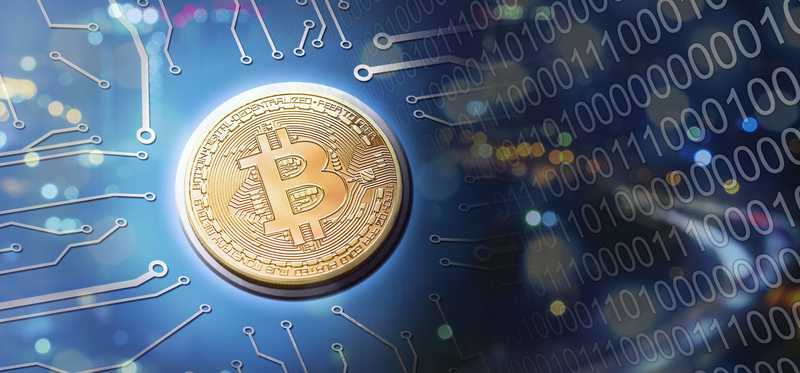 A golden bitcoin a blue circuit background.