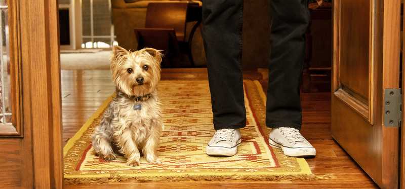 A Chewy dog brand rep and owner standing in a doorway.