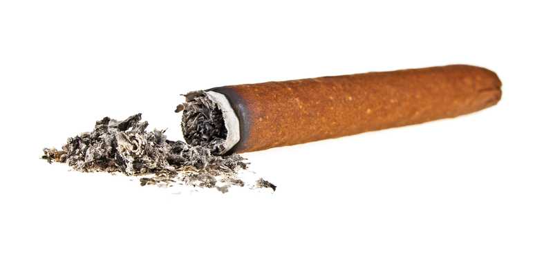 A cigar butt.
