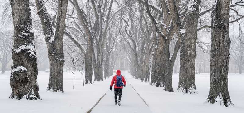 A person walking through a snowy scene on the Colorado State University campus.