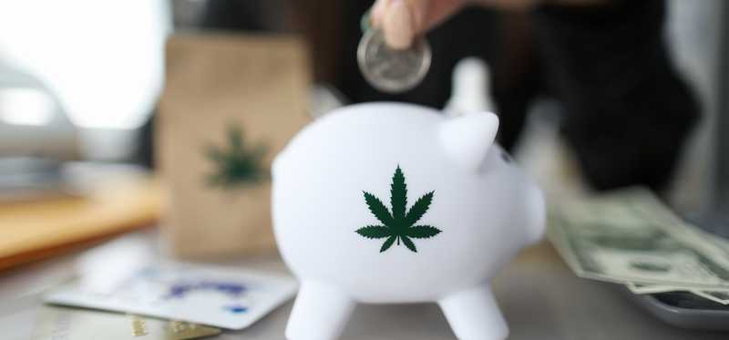 Woman putting coin in piggy bank with marijuana leaf insignia.