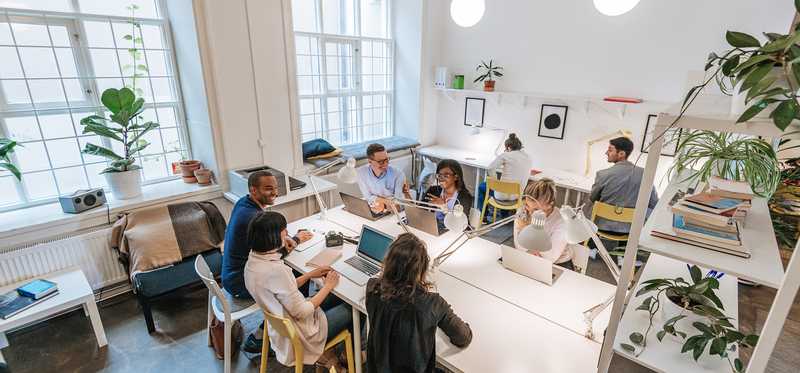 Group of people on laptops in room.