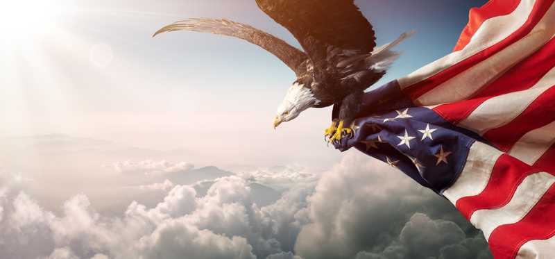 Eagle with American flag.