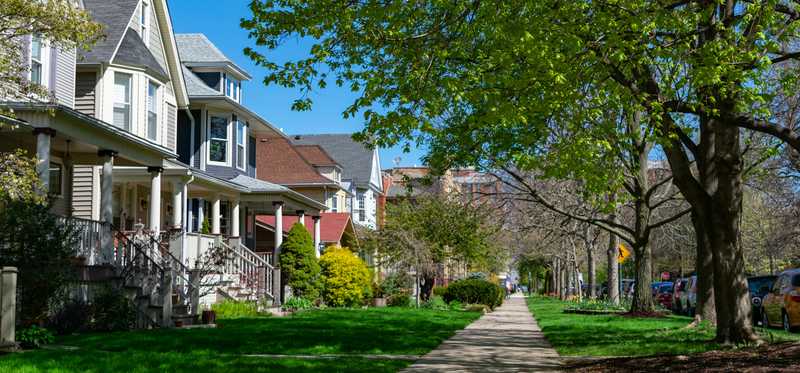 Single-family neighborhood on oak-lined street.