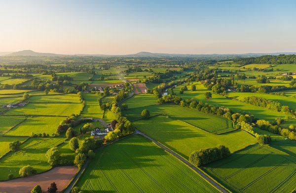 Investing in Farmland: A Real Estate Investor's Guide | The Motley Fool