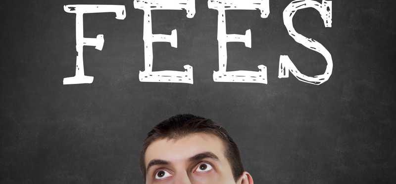 The word Fees written on a blackboard above a person's forehead.
