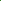 A green gecko lizard
