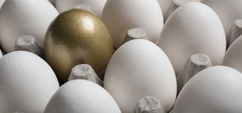 A golden egg among regular white eggs.