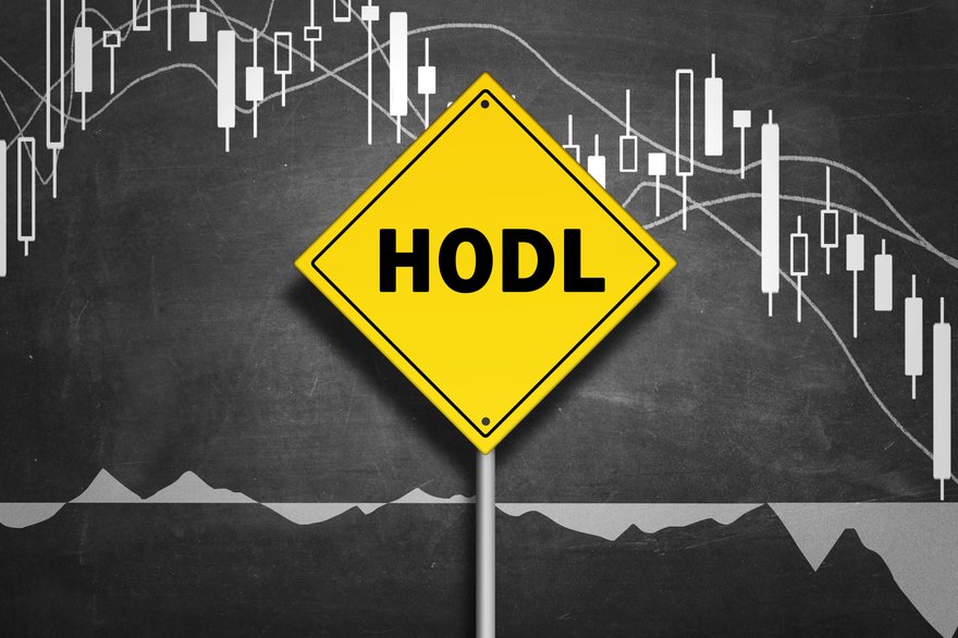 HODL sign with bear market candlesticks on background