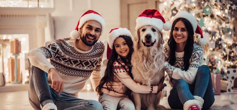 Happy family wearing Santa hats near Christmas tree