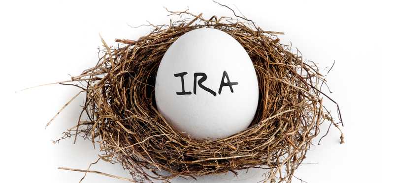 An egg with IRA written on it is sitting in a nest.