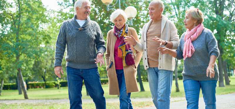 Four people walking through a park and talking.