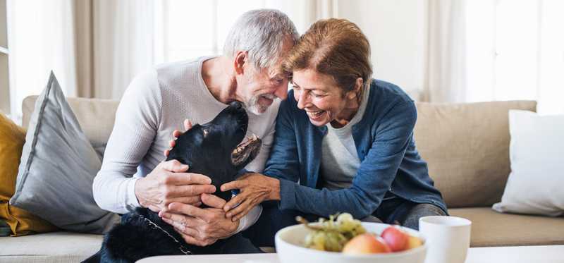 Two people sitting on a couch and petting a dog.