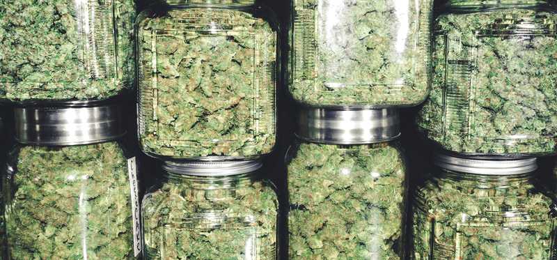 Jars filled with marijuana.