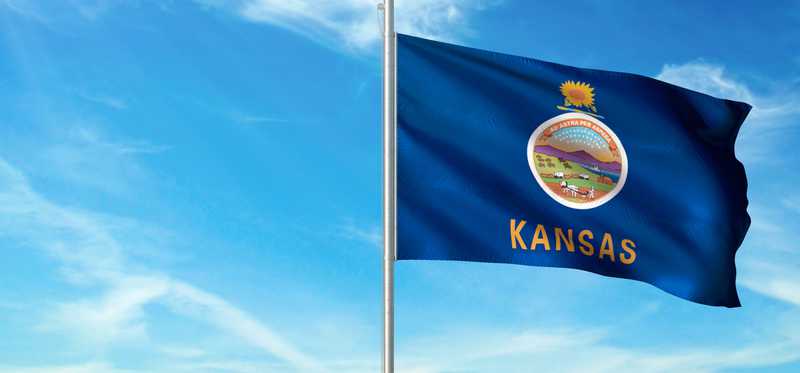 Kansas' state flag.