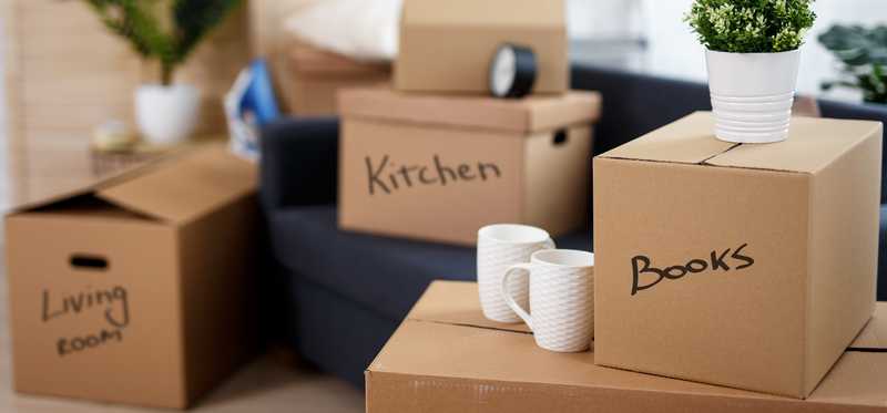 Labeled moving boxes, house plants, and coffee mugs in a den.