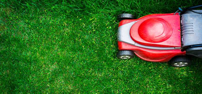A red push mower on a lawn.