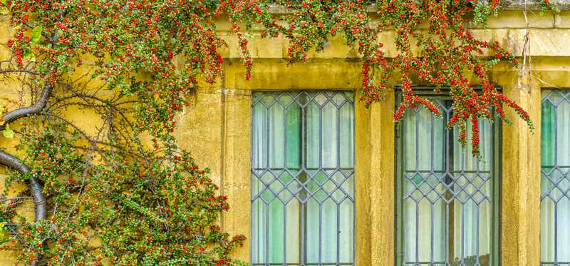 Leaded glass windows on a home.
