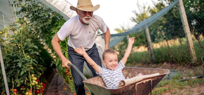 Man giving boy ride in a wheelbarrow