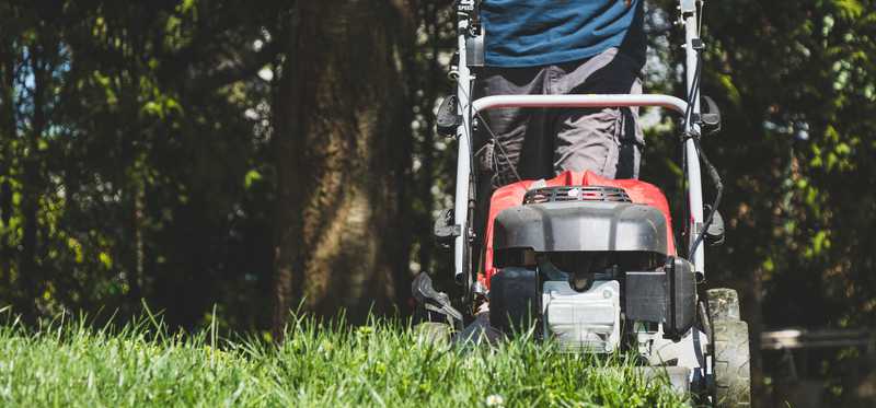 Person mowing lawn.