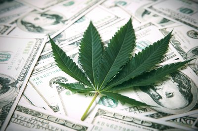 Fresh green marijuana leaf lies atop a loose pile of hundred dollar bills.