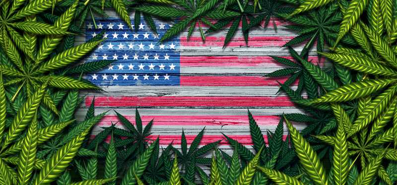 Marijuana leaves framing a U.S. flag
