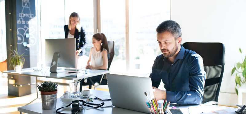 People working at desks in an office.