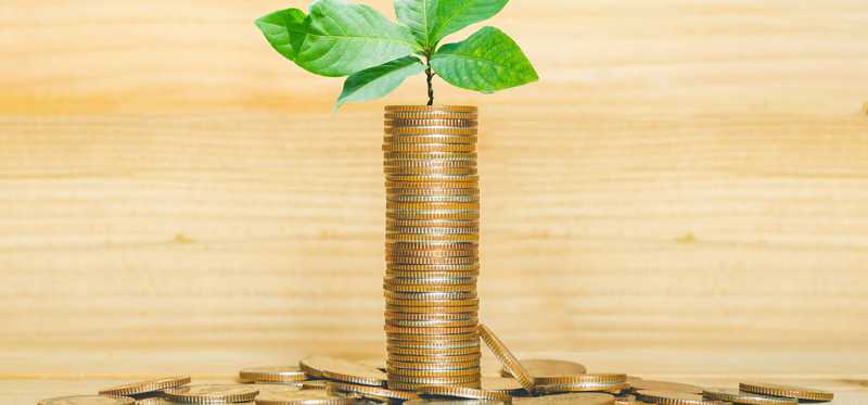 A tall stack of coins with a plant sprouting from the top.