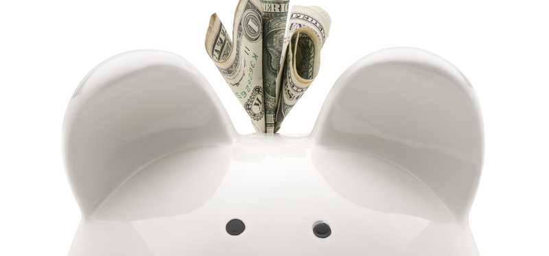 Piggy bank with dollar bills sticking out the top.