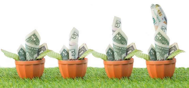 Progressively larger potted plants with dollar bills for leaves