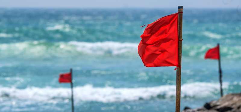 Red flags on sticks at the beach.