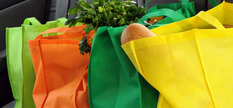 Reusable grocery bags full of produce in the back seat of a car.