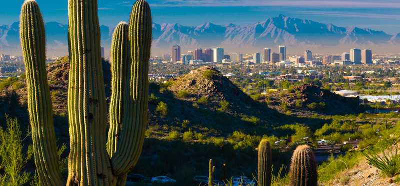 A saguaro cactus in the foreground and the Phoenix, Arizona, skyline far behind it.