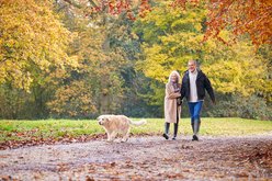 Senior Couple Walking With Pet Golden Retriever