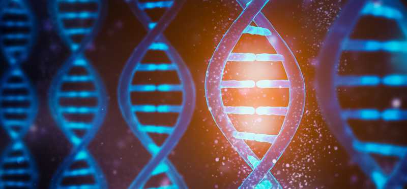 DNA sequencing