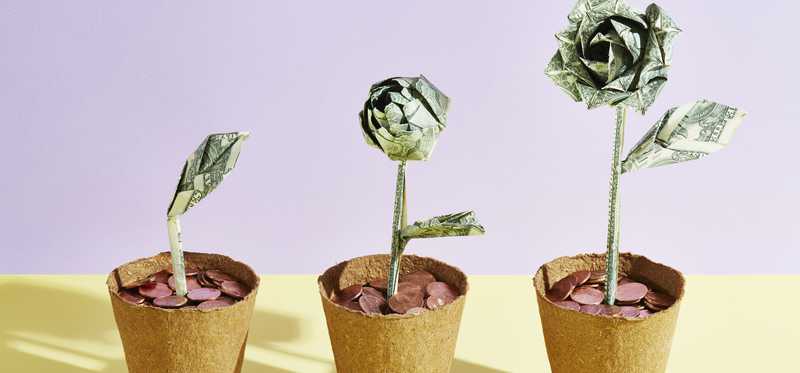 Pots of cash plants springing upward.