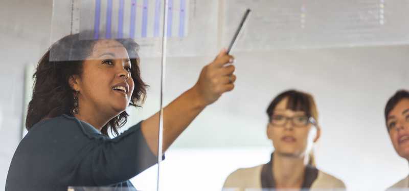 Person giving presentation to colleagues and reviewing brightly colored bar charts.