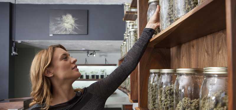Cannabis dispensary worker reaching up to grab jar of marijuana from store shelf