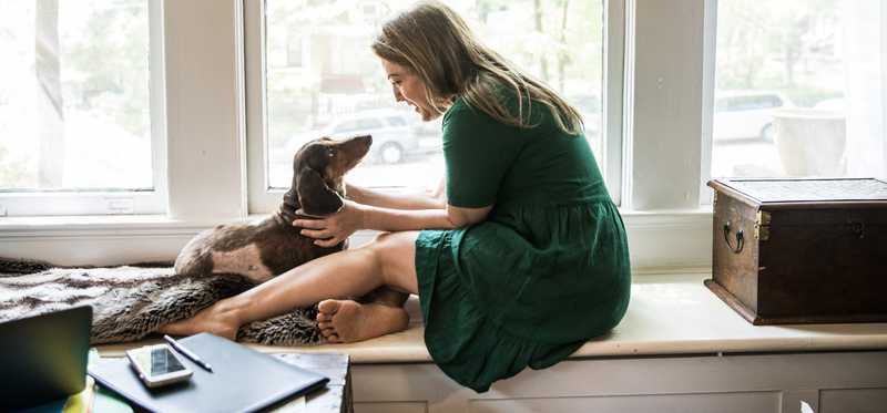 Person playing with a dog in a living room window.