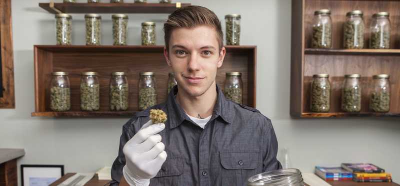 Male cannabis dispensary worker holding jar of marijuana and dried marijuana leaves