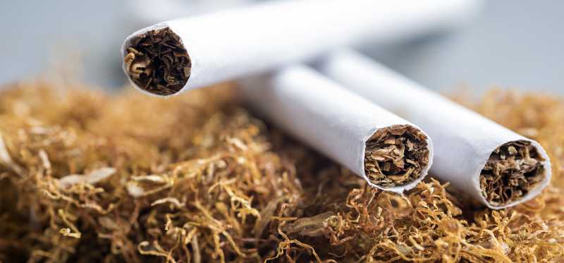 Cigarettes on top of loose tobacco.